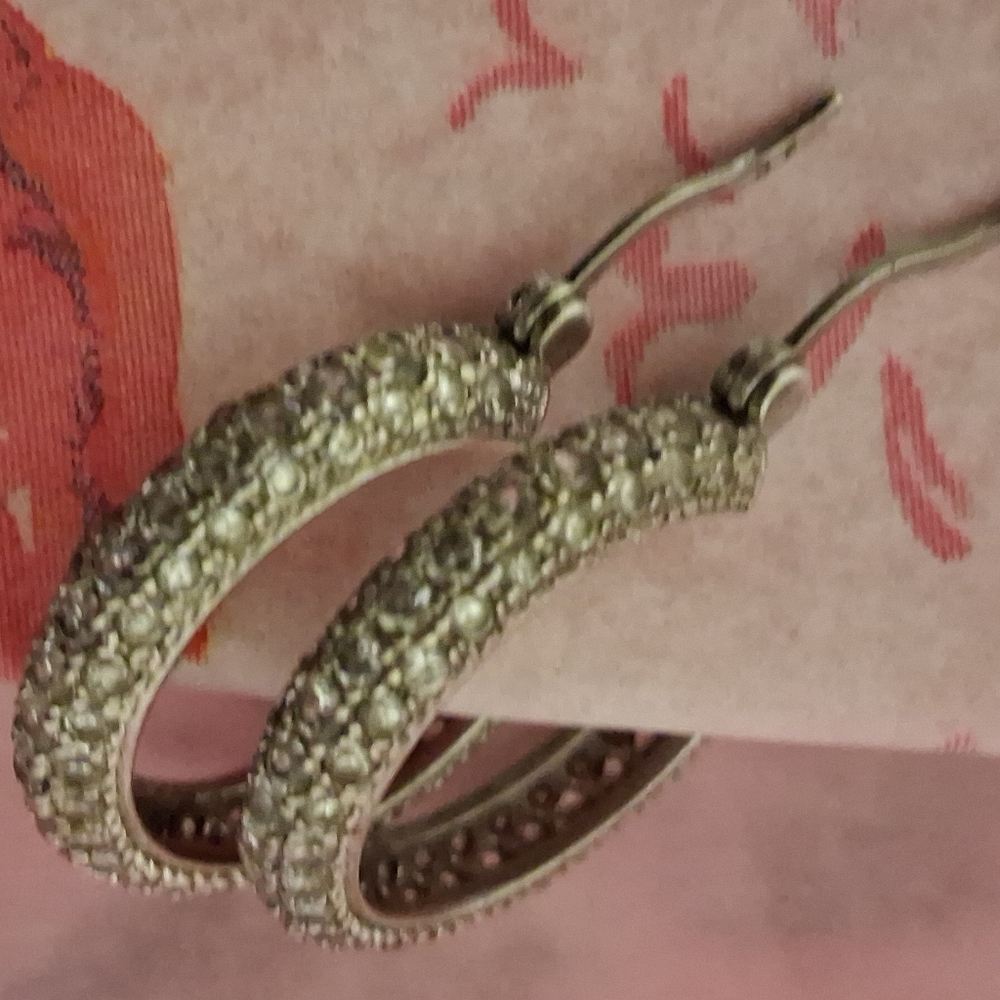 Elegant Silver Diamond Hoop Earrings